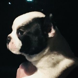 Meet your Posher, Brian